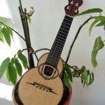 Ukulele Nico Dayet Luthier